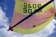 09