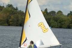 43