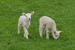 20190428_143930
